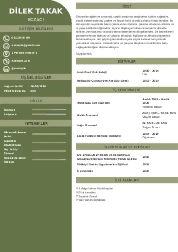 cv indir